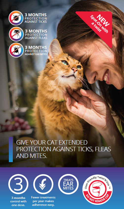 3 months tick, flea, and ear mite protection Click here to learn more about Bravecto Spot on